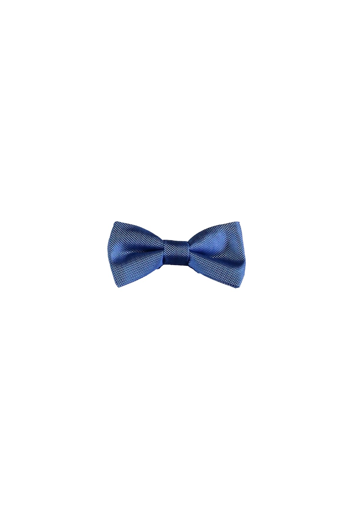 Otto bowtie royal blue